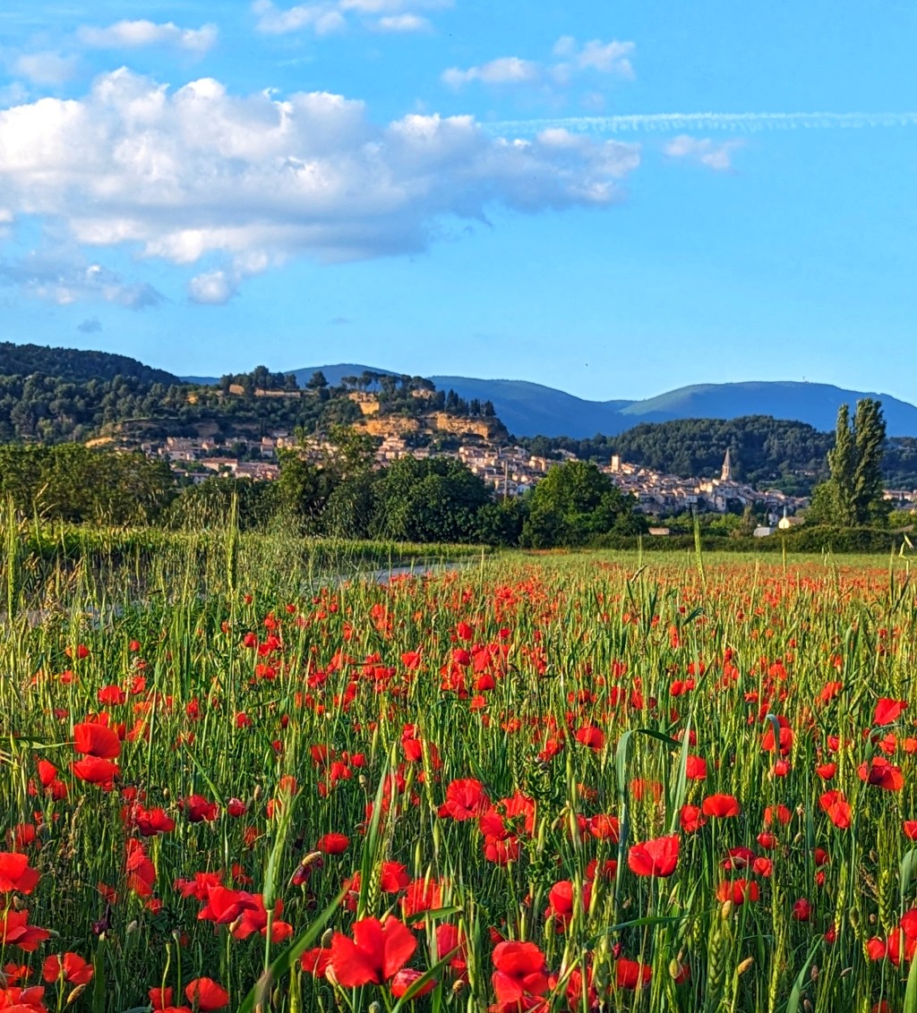 REVIEW: Le Val De Durance Campsite in the Luberon,&nbsp;Provence